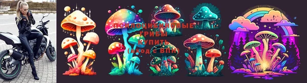 мдпв Бронницы