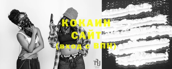 ПСИЛОЦИБИНОВЫЕ ГРИБЫ Верея