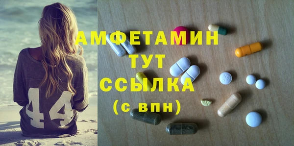 ПСИЛОЦИБИНОВЫЕ ГРИБЫ Верея