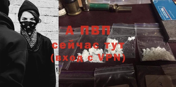 ПСИЛОЦИБИНОВЫЕ ГРИБЫ Верея